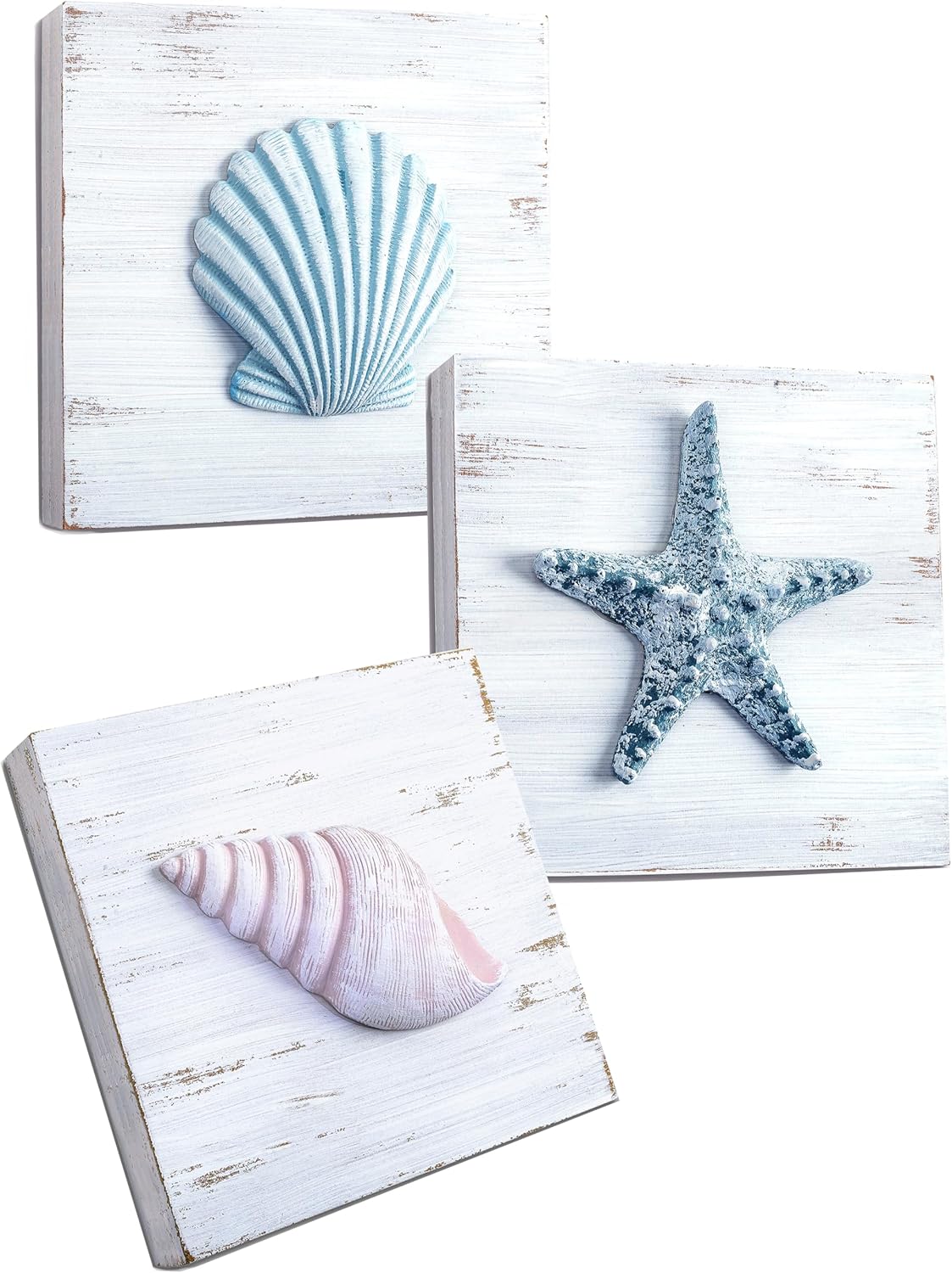 Seashell Wall Plaques — Set of 3, 6 × 6 in